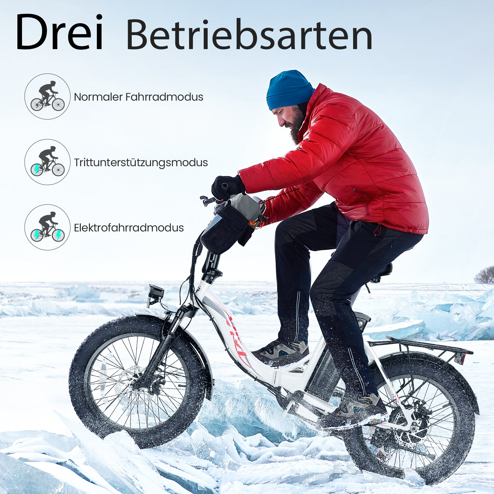 VIVI Electric Bike Commuter 3.0" Fat Tire Folding Electric Bike