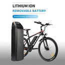 VIVI Electric Bike Battery For H6 Ebike
